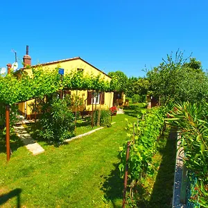https://house-1037.in-istria.net